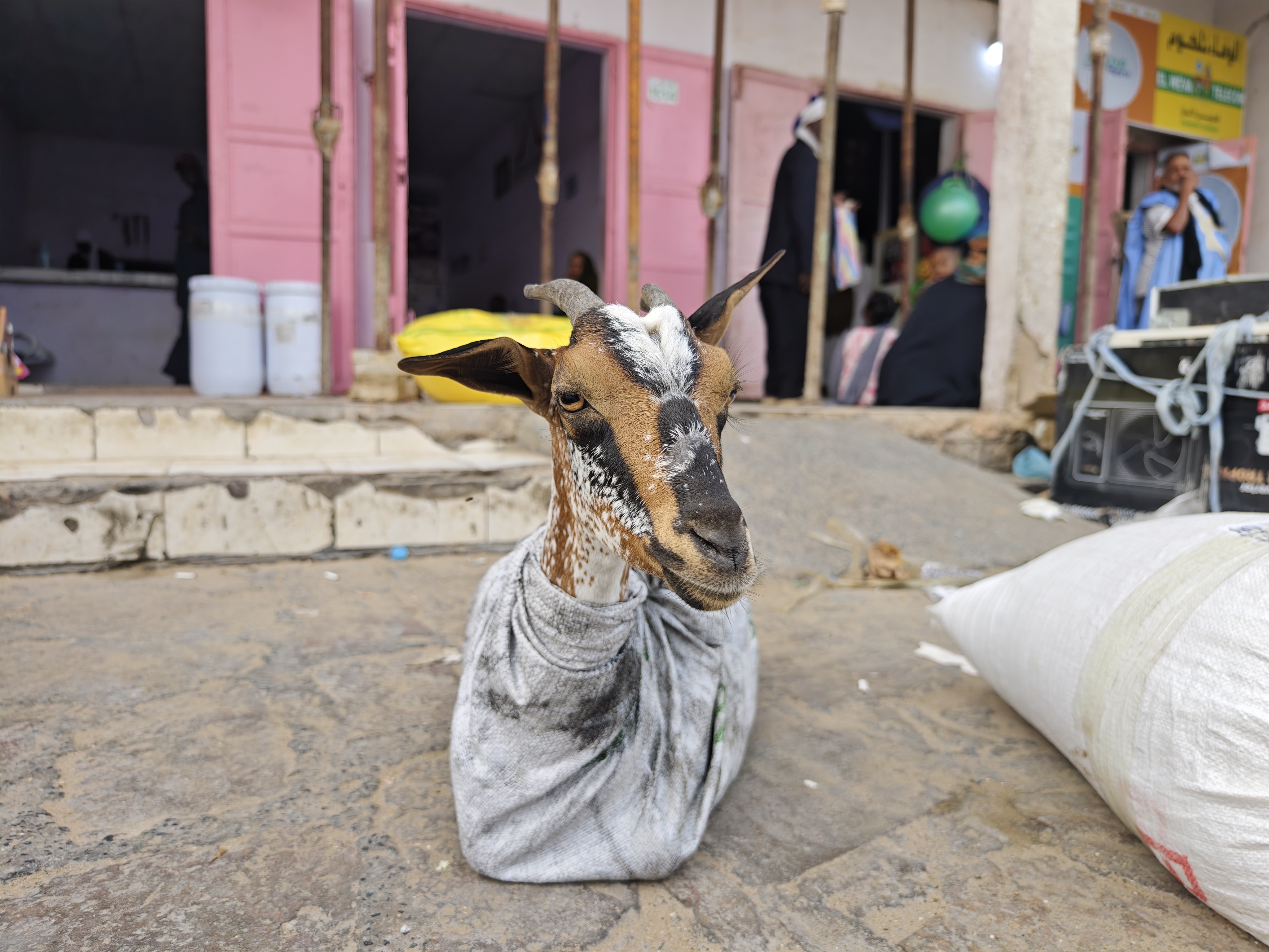 Mauritania: the Iron Ore Train 01