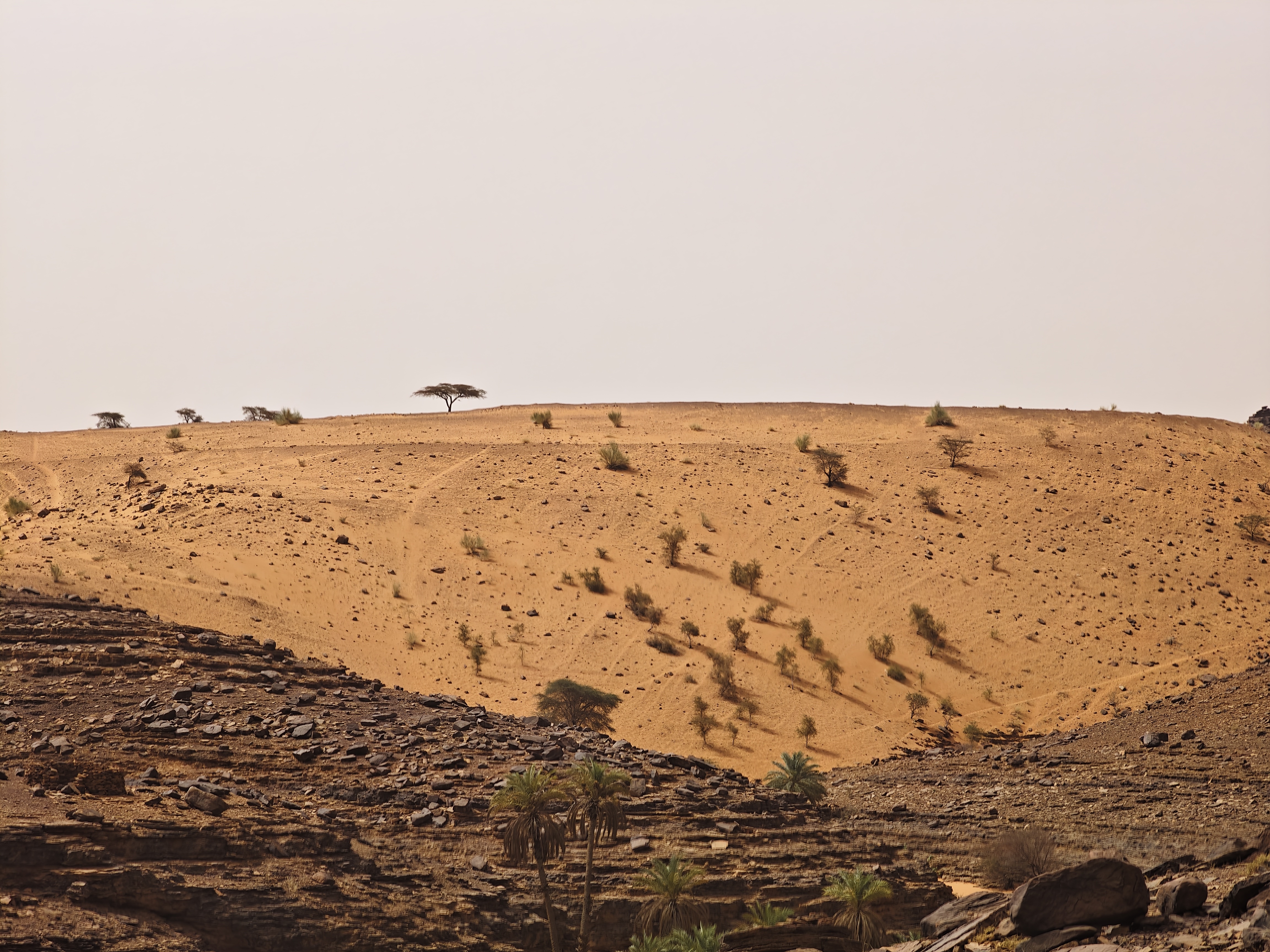 Mauritania: the Iron Ore Train 03